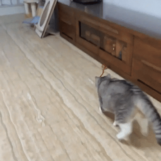 PurrPlay 2.0 Smart Cat Rolling Ball